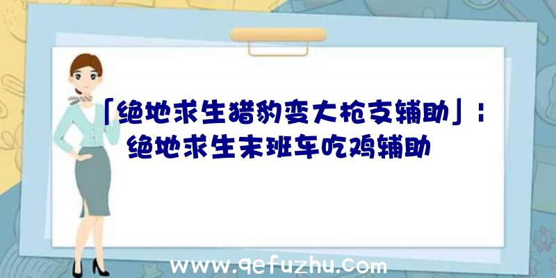 「绝地求生猎豹变大枪支辅助」|绝地求生末班车吃鸡辅助